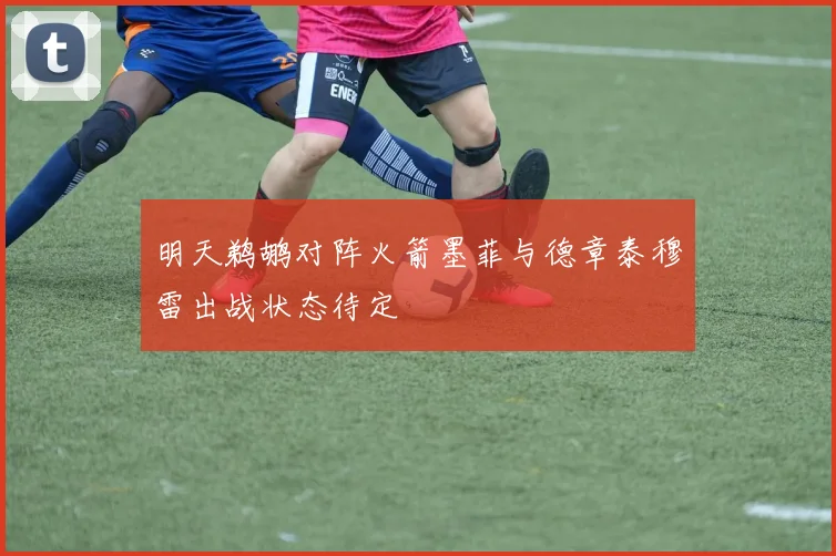 明天鹈鹕对阵火箭墨菲与德章泰穆雷出战状态待定